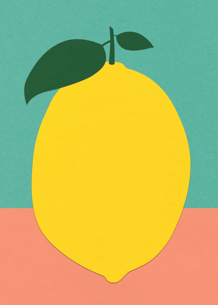 Lemon With Two Leaves by Rosi Feist — canvas wall art