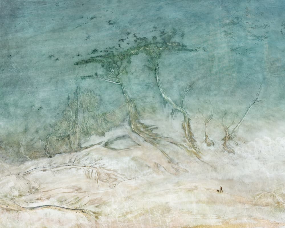 Aerial Beach Patterns by Shenshen Dou — canvas wall art