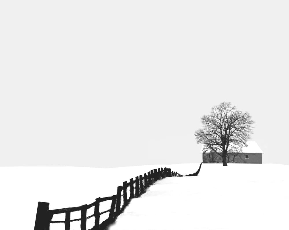Snowy Path to Cabin by Ivan Huang — canvas wall art