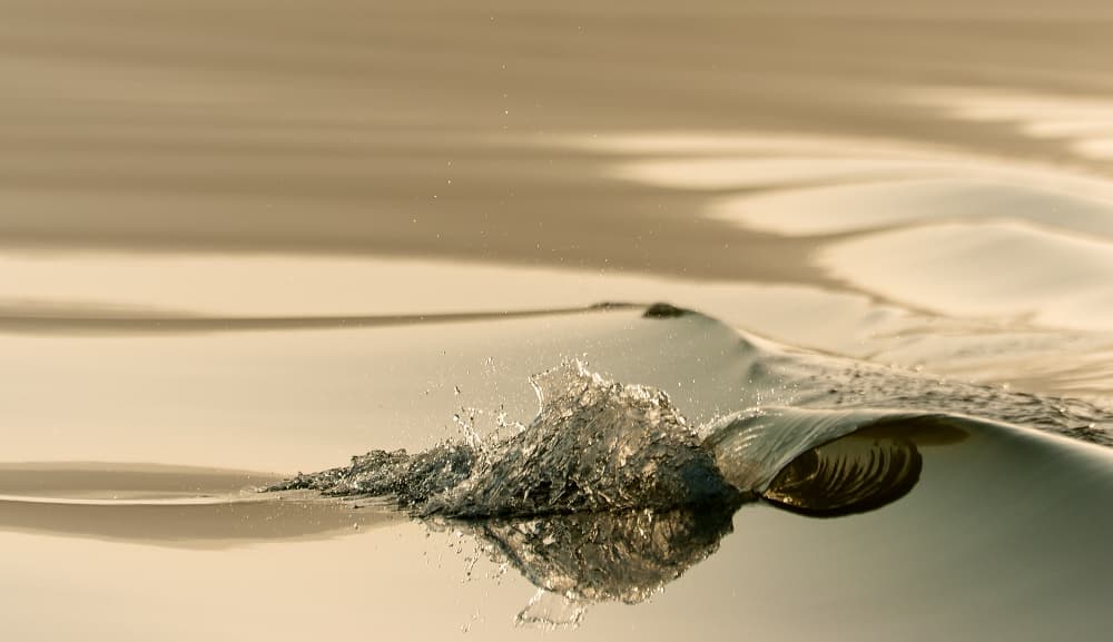 Golden Water Splash by Zhecho Planinski — canvas wall art