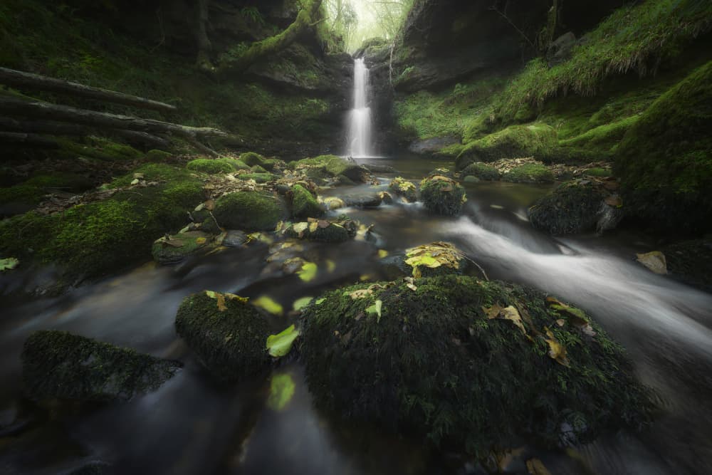 Mossy Forest Waterfall by Fran Osuna — canvas wall art