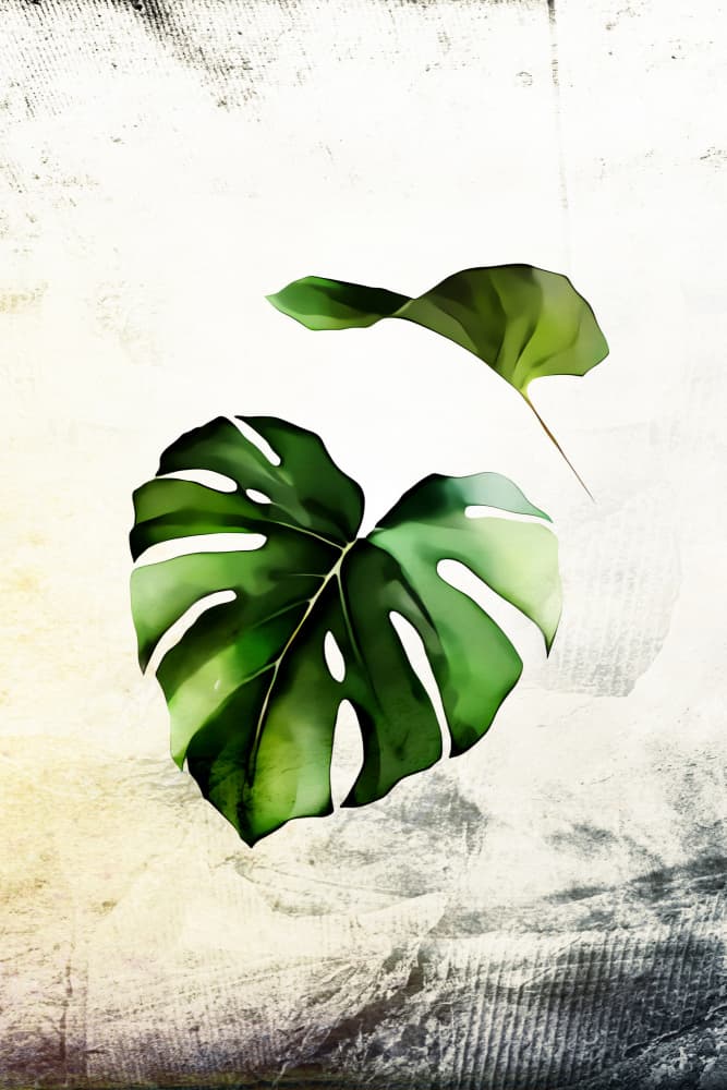 Tropical Monstera Leaves Illustration by Rafal Kulik — canvas wall art