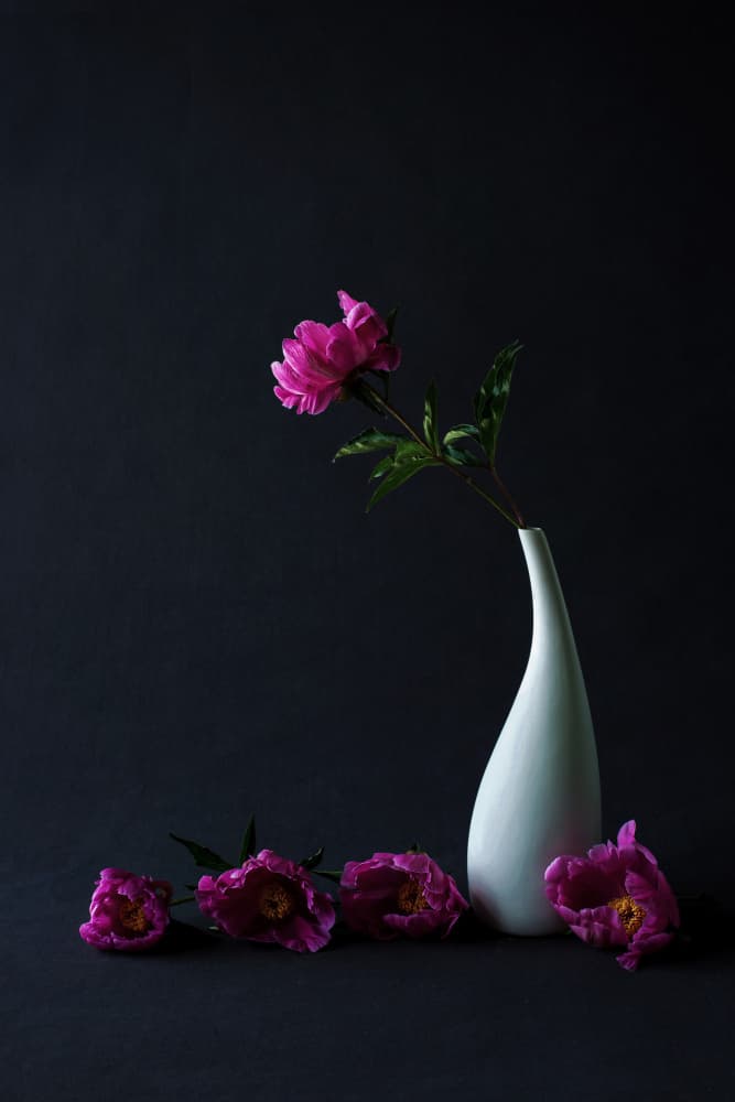 Moody Pink Peony Still Life by Summer2016 — canvas wall art