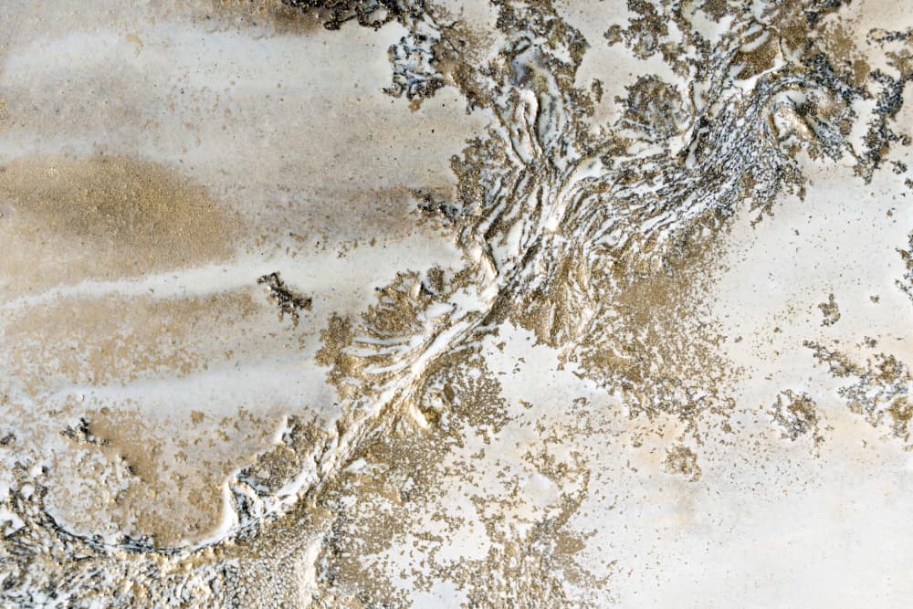 Timeless - Entwined Gold by Petra Meikle de Vlas — canvas wall art