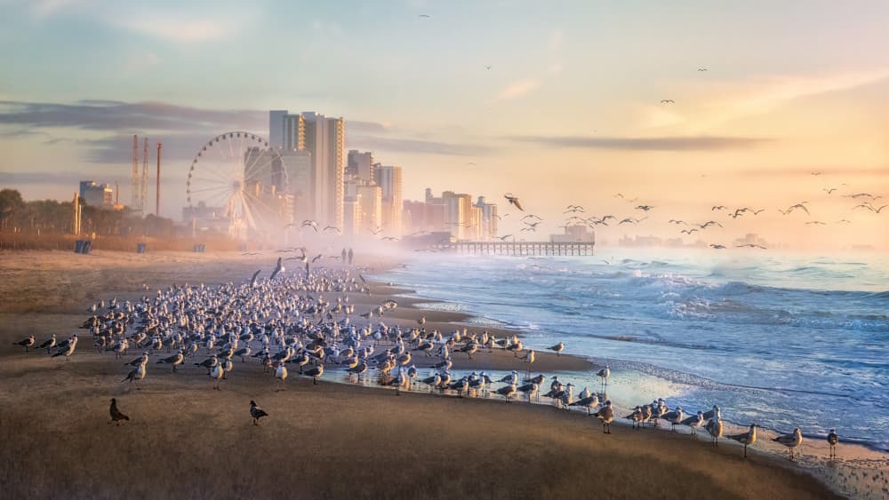 Misty Coastal Sunrise by Jianping Yang — canvas wall art