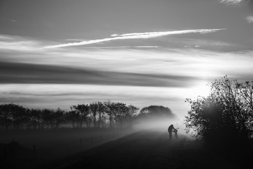 Misty Morning Walk by Liesbeth van der Werf — canvas wall art