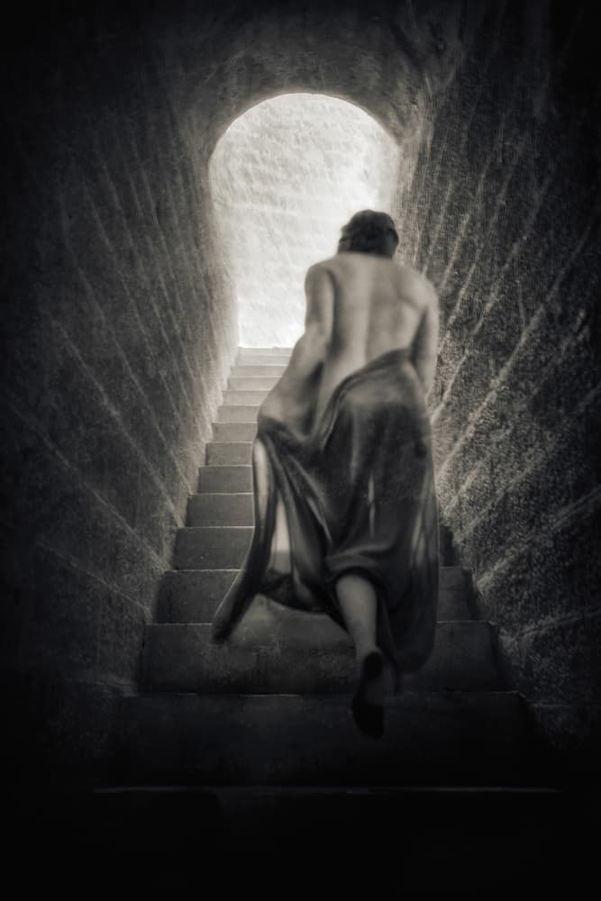 Ascent Towards Light by Charlaine Gerber — canvas wall art
