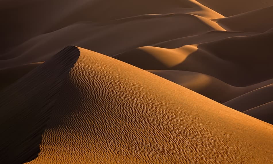 Golden Desert Dunes by Mohammadreza Momeni — canvas wall art