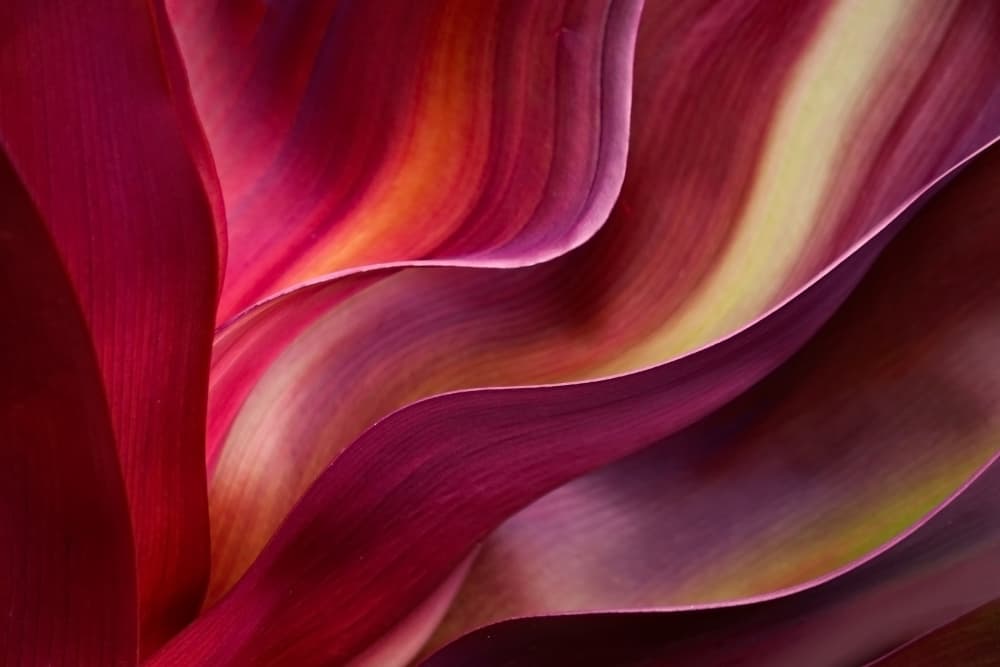 Flowing Botanical Waves by Robin Wechsler — canvas wall art