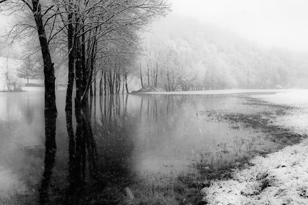 Misty Winter Reflections by Bojan Bencic — canvas wall art