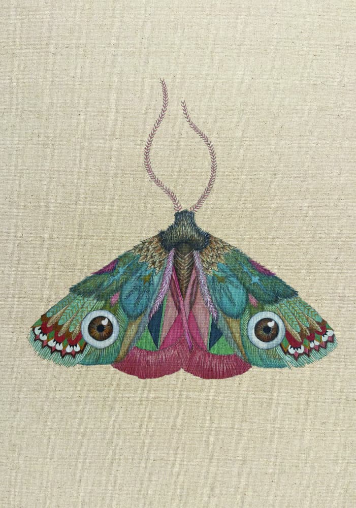 Whimsical Eye Moth by ZAM.ROD — canvas wall art