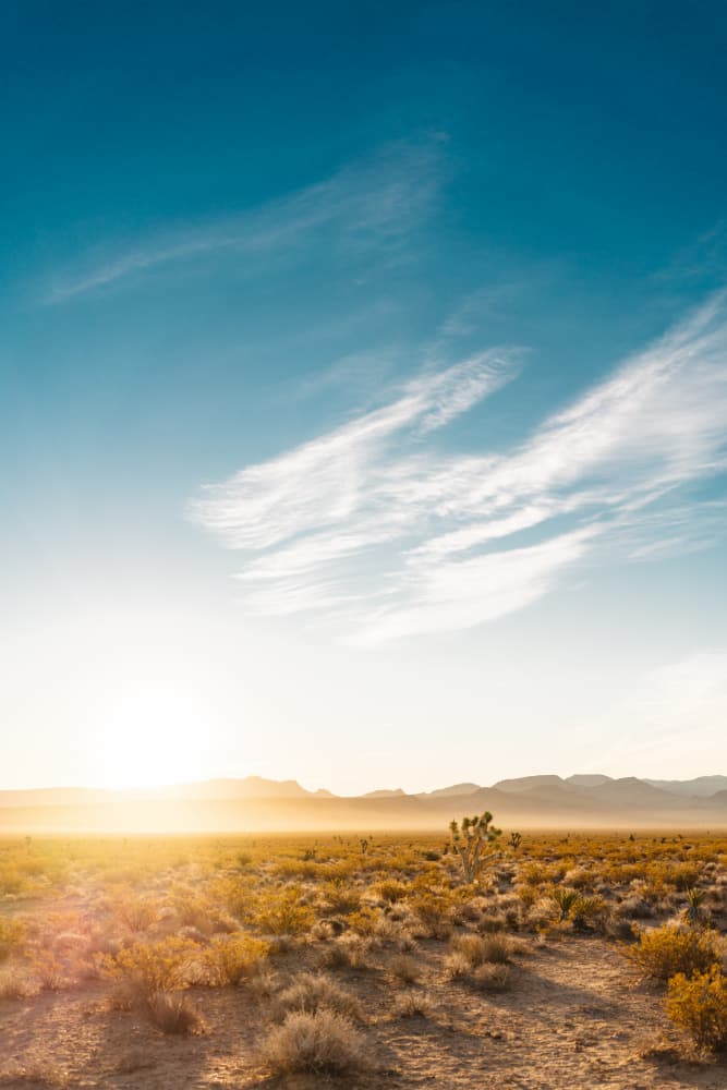 Golden Desert Sunrise by Bethany Young — canvas wall art