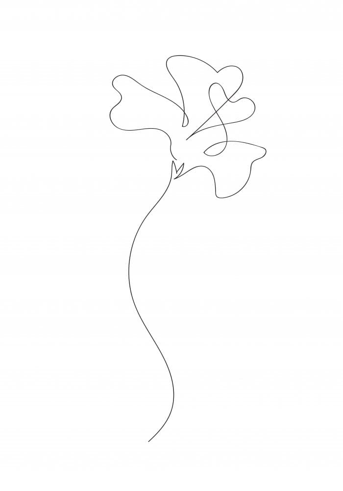 Delicate Sweet Pea Line by Pictufy Studio II — canvas wall art