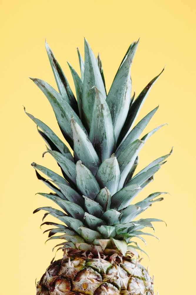 Tropical Pineapple Yellow by Pictufy Studio III — canvas wall art