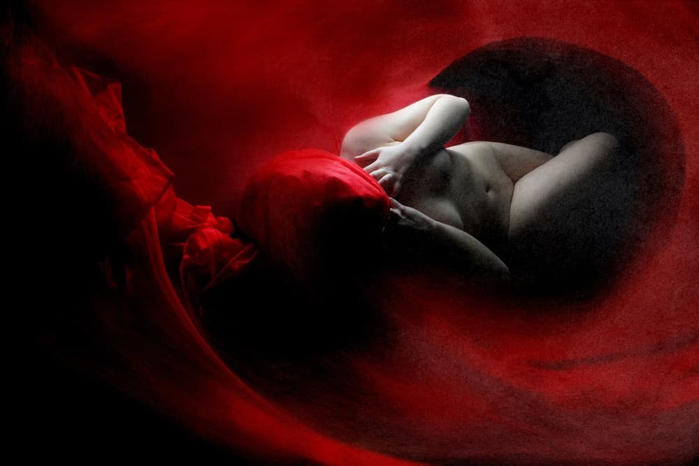 Deep Red Womb by Olga Mest — canvas wall art