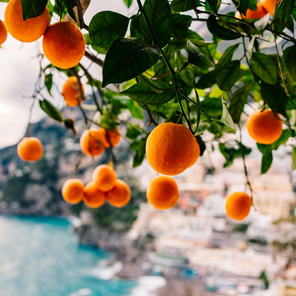 Vibrant Oranges Positano View by Bethany Young — canvas wall art