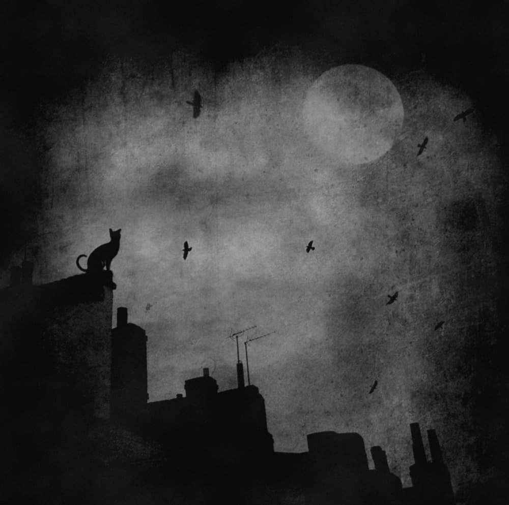 Moonlit City Cat by Robert Fabrowski — canvas wall art