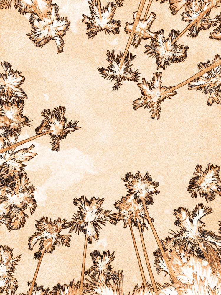 Sketched Palm Trees by Santhosh ch — canvas wall art