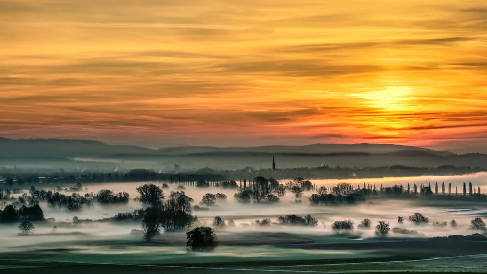 Golden Valley Mist by Martin Steeb — canvas wall art