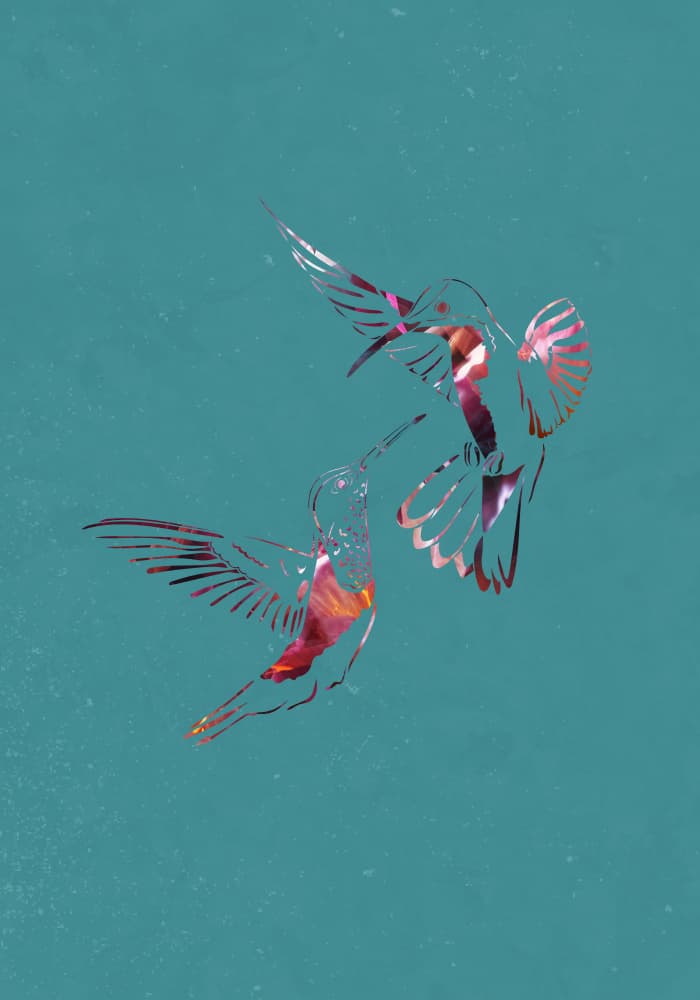 Glowing Hummingbird Pair by Sarah Manovski — canvas wall art