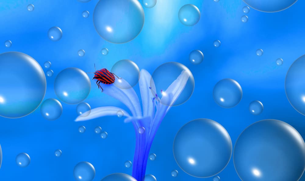 Red Bug Blue Dream by Thierry Dufour — canvas wall art