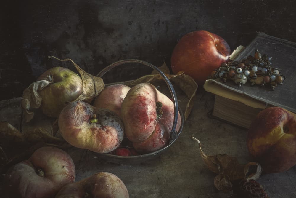Moody Autumn Fruit by Igor Tokarev — canvas wall art