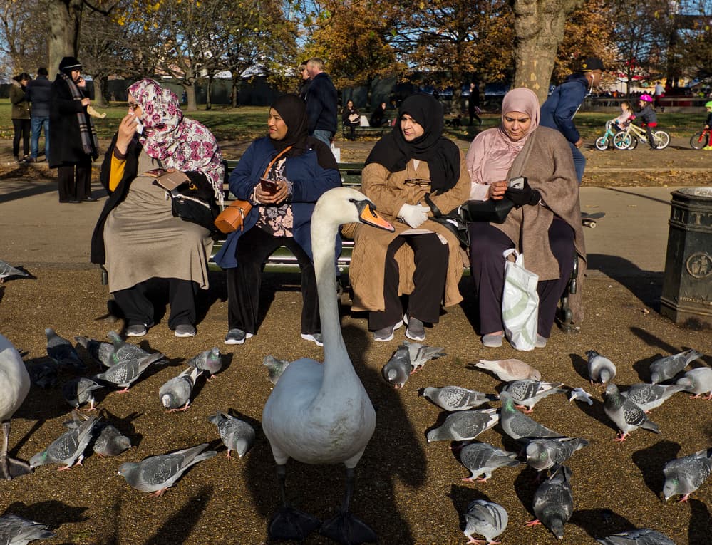 Women Feeding Park Birds by Lorenzo Grifantini — canvas wall art