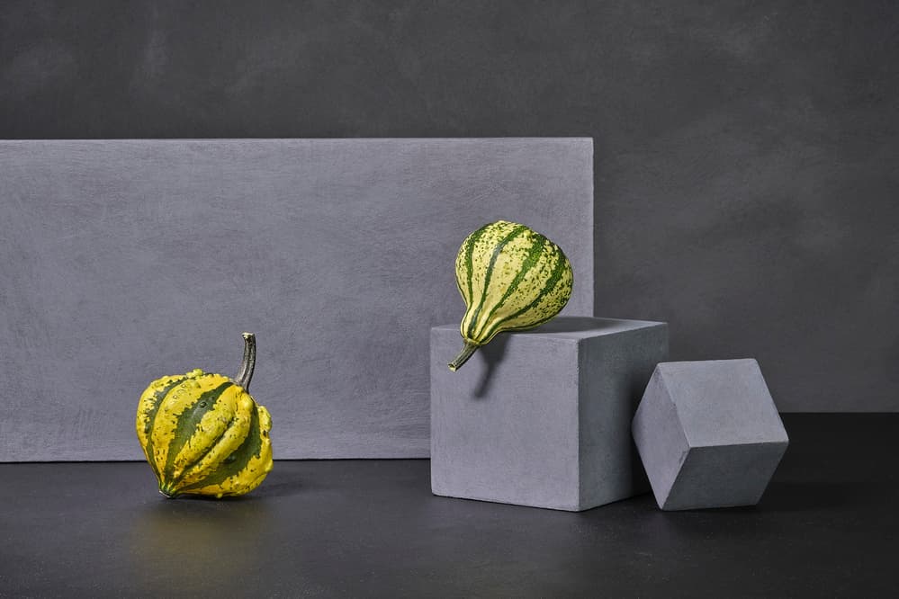 Gourds and Geometric Blocks by Christophe Verot — canvas wall art