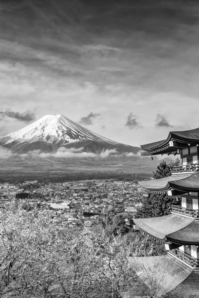 Iconic Fuji Pagoda Blossoms by Melanie Viola — canvas wall art