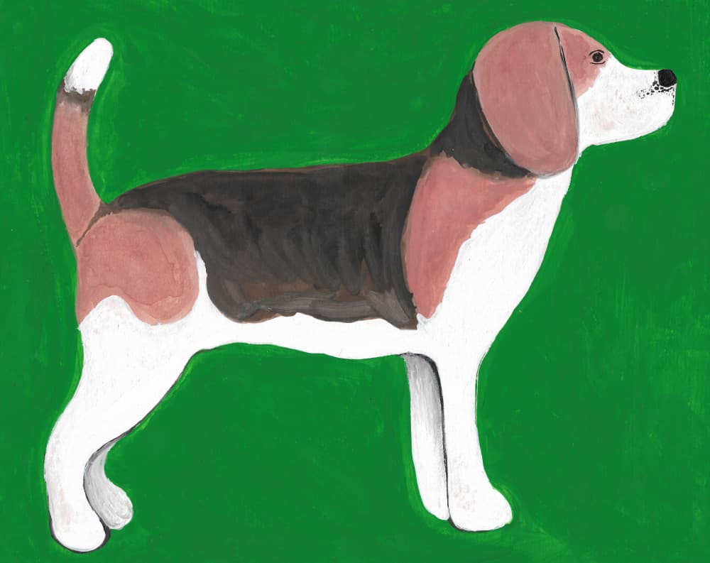 Tricolor Beagle Dog by Lerin Freyou — canvas wall art