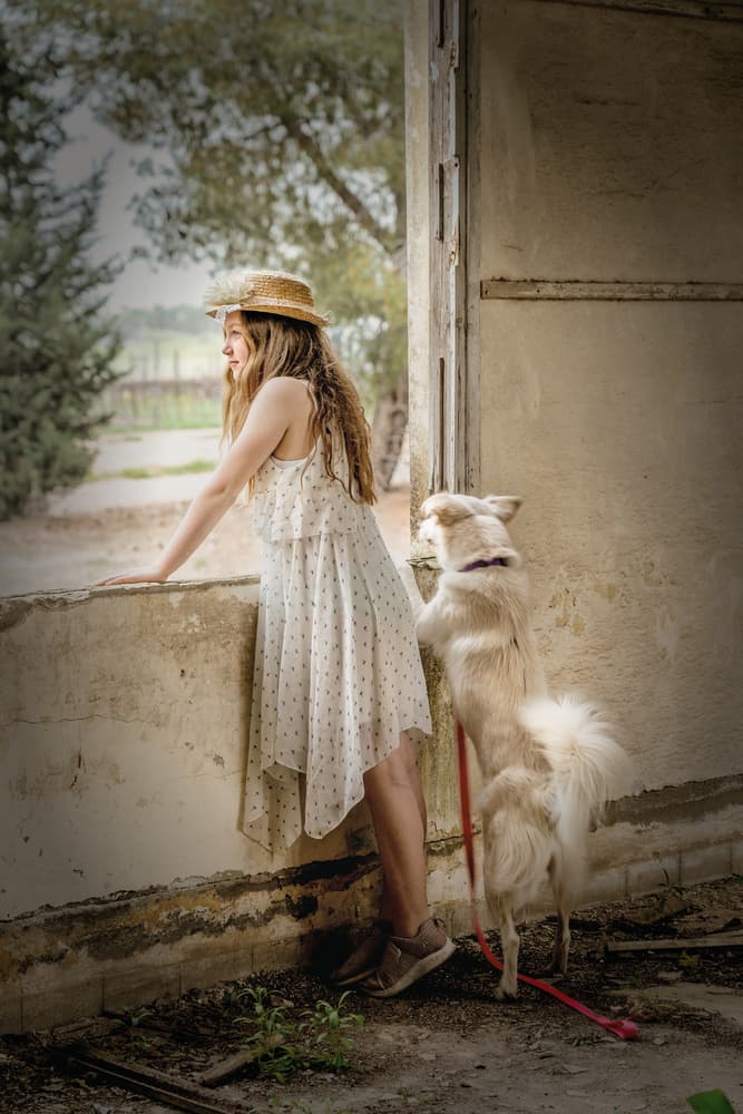Rustic Window Companions by Gabrielle Halperin — canvas wall art