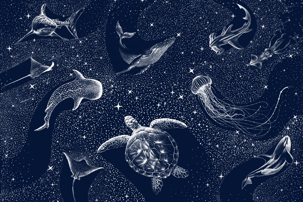 Cosmic Ocean Animals by Alirıza ÇAKIR — canvas wall art