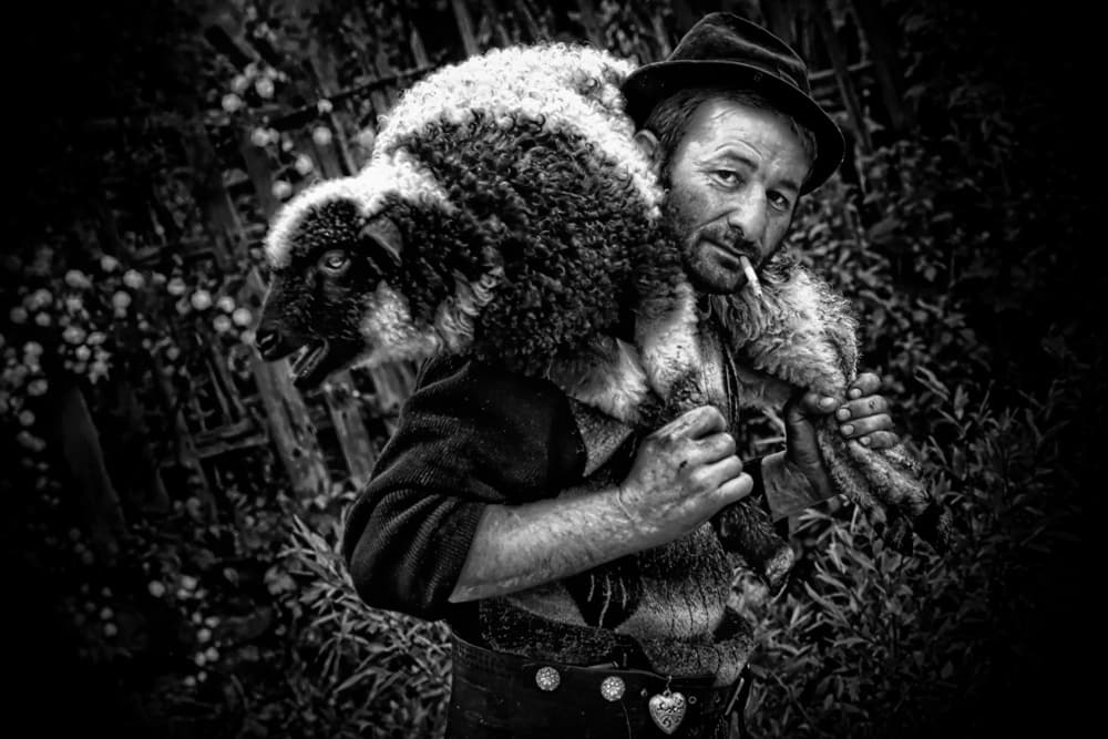 Shepherd With His Sheep by Adela Lia Rusu — canvas wall art