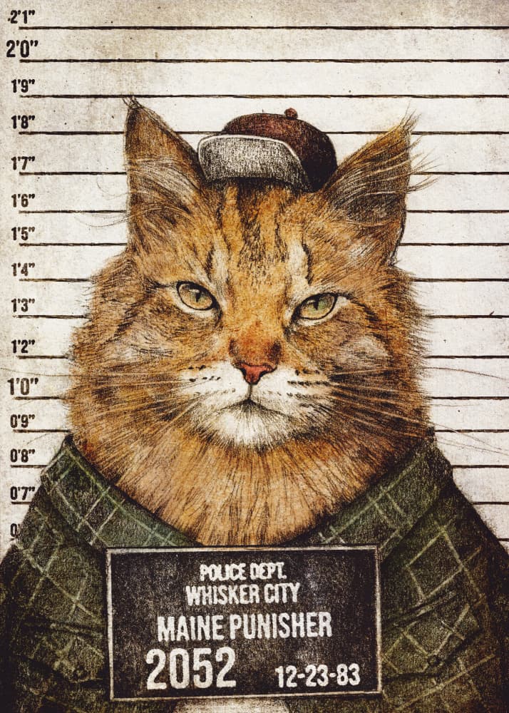 Cat In A Police Lineup by Mike Koubou — canvas wall art