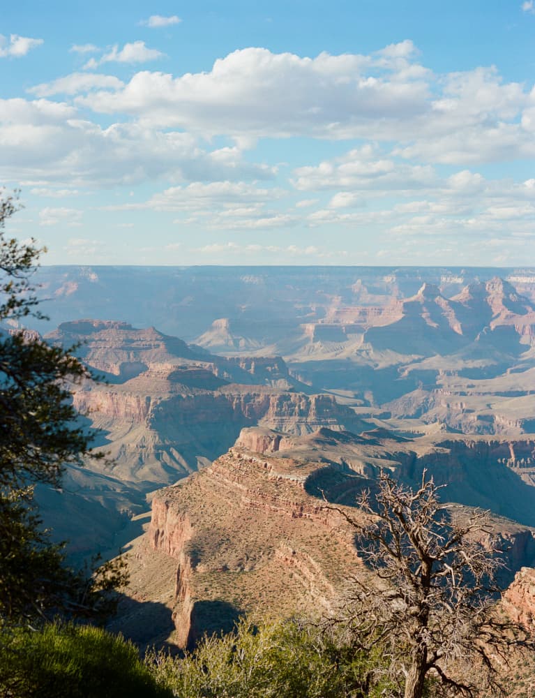 Grand Canyon Vista by Bethany Young — canvas wall art