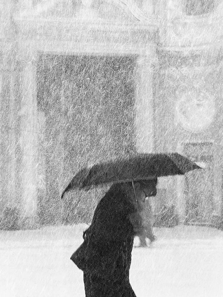 Snowy City Umbrella Walk by Nicoleta Gabor — canvas wall art