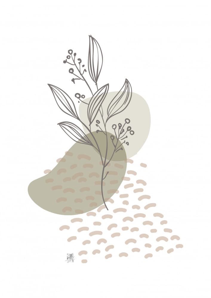 Botanical Line Study by Osvaldo Russo — canvas wall art