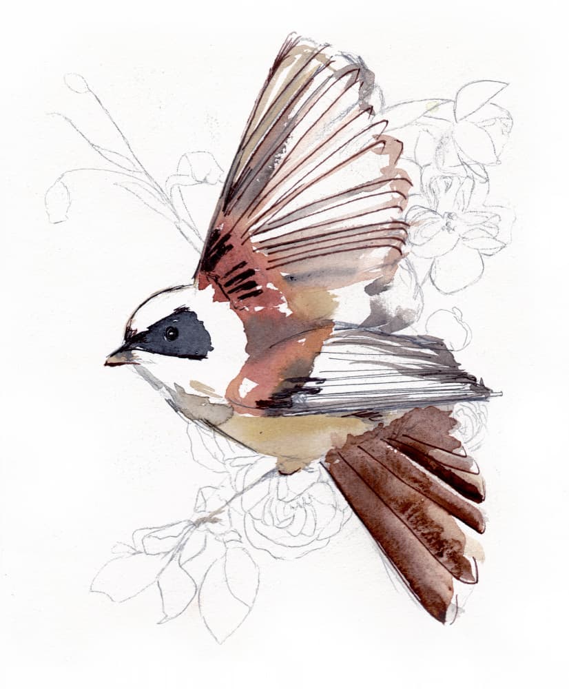 Flying Watercolor Bird by Christine Lindstrom — canvas wall art