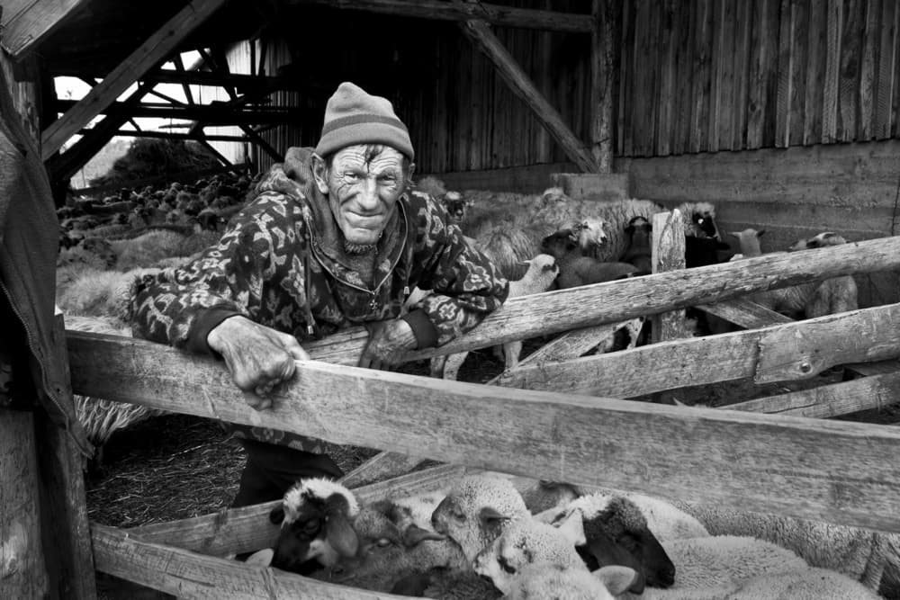 Smiling Farmer with Sheep by Zoran Toldi (EFIAP AZSF) — canvas wall art