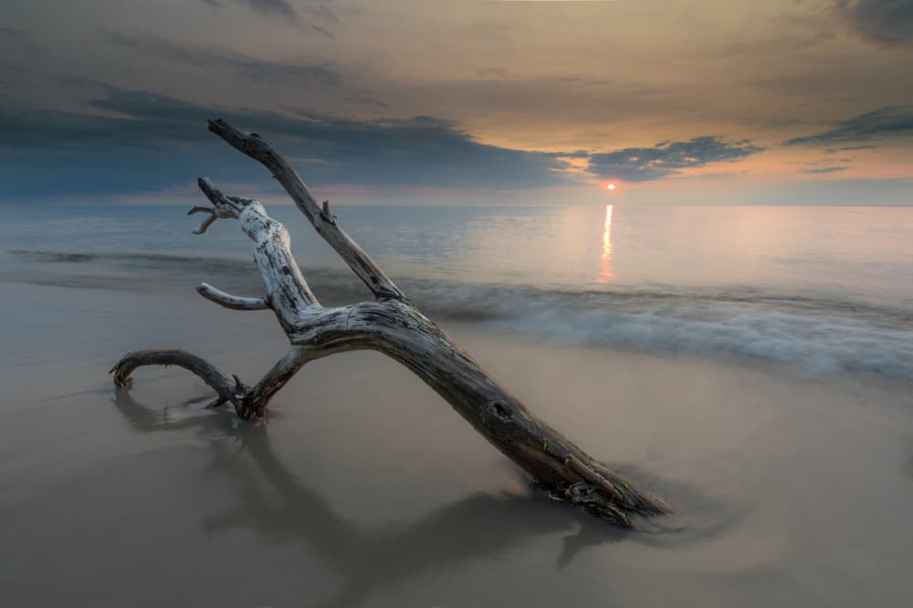 Driftwood Beach Sunset by Thomas Siegel — canvas wall art