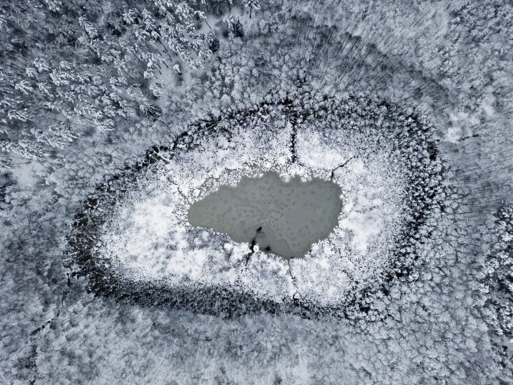 Frozen Forest Lake Aerial by Leszek Paradowski — canvas wall art