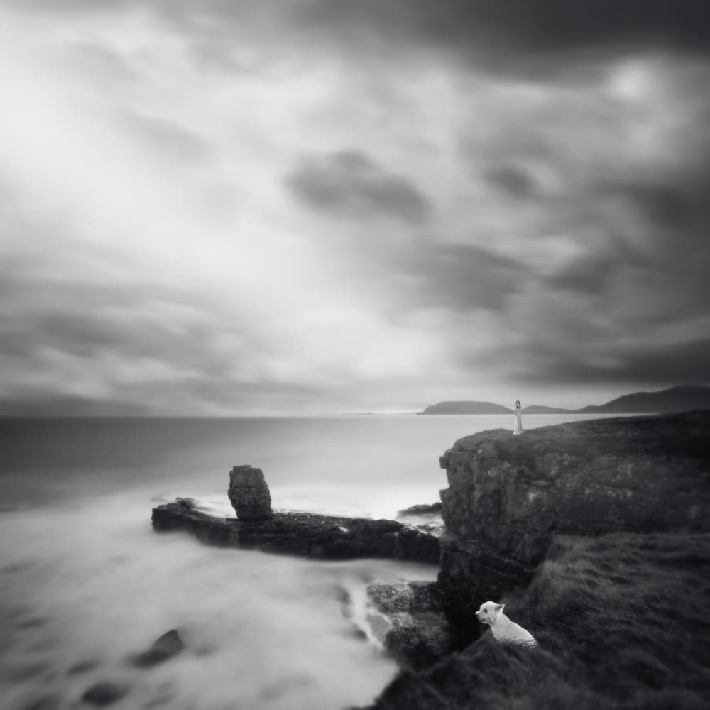 Dog Overlooking Ocean by Martin Marcisovsky — canvas wall art