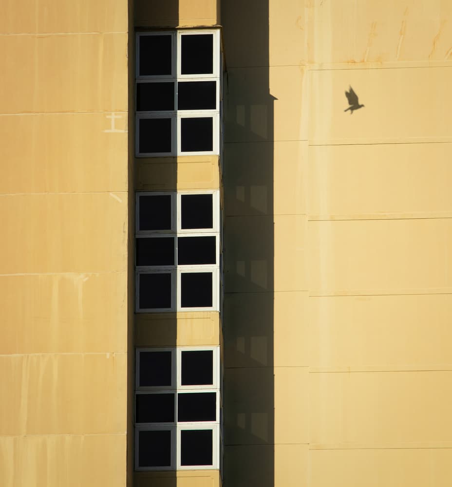Bird Shadow on Building by Jacqueline Hammer — canvas wall art