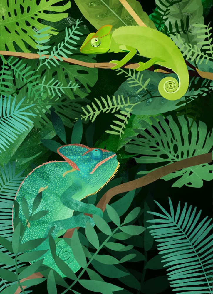 Chameleons by Goed Blauw — canvas wall art