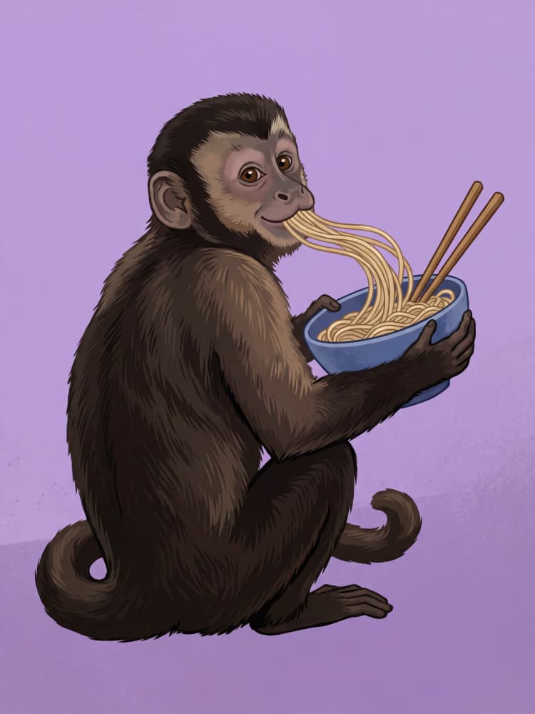 Playful Monkey Ramen by Andreas Magnusson — canvas wall art