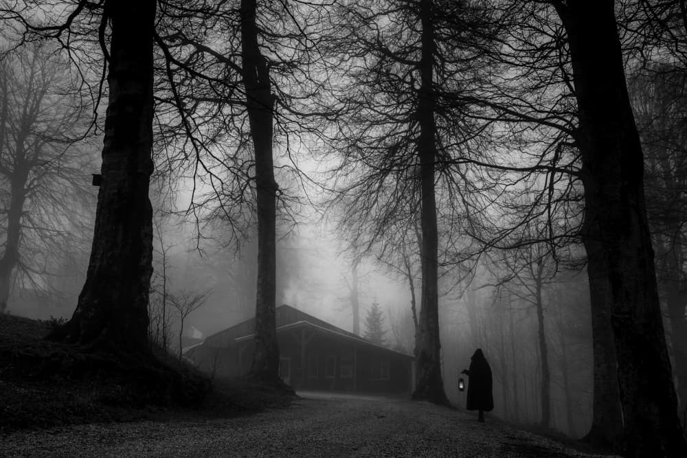 fog by Ummu Nisan Kandilcioglu — canvas wall art