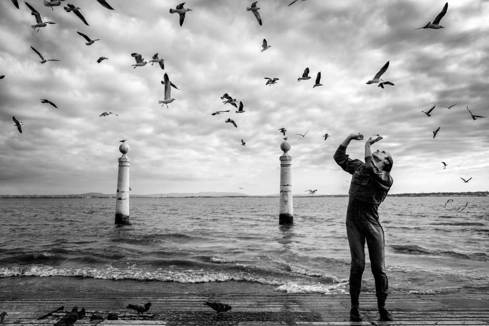 Woman Feeding Gulls by Josefina Melo — canvas wall art
