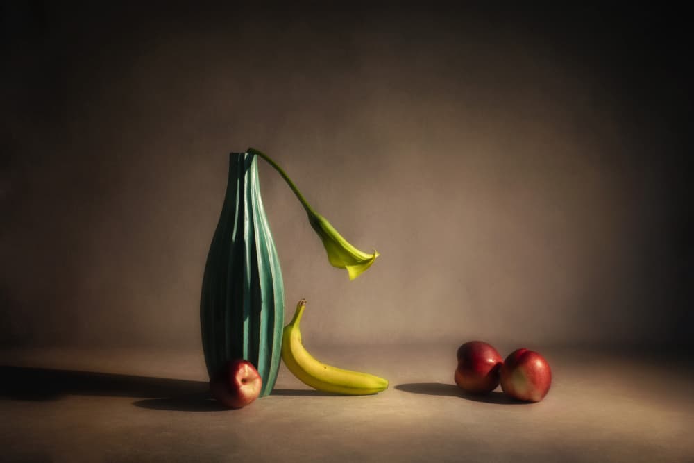 Moody Fruit and Flower by Cicy Chen — canvas wall art