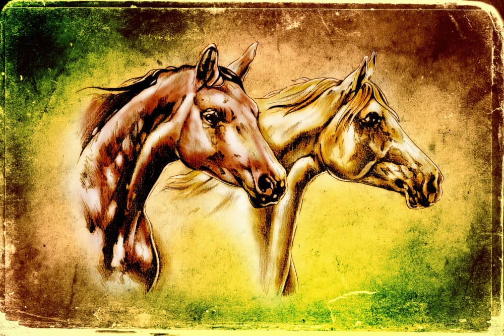 Vintage Equine Duo by Rafal Kulik — canvas wall art