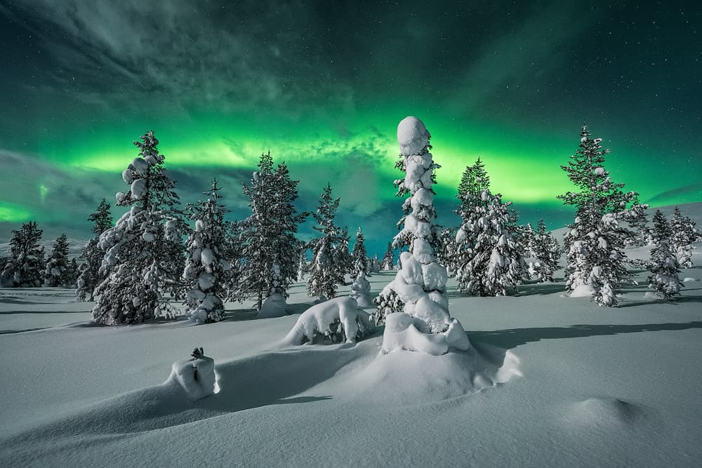 Northern Lights Winter Forest by Raymond Hoffmann — canvas wall art